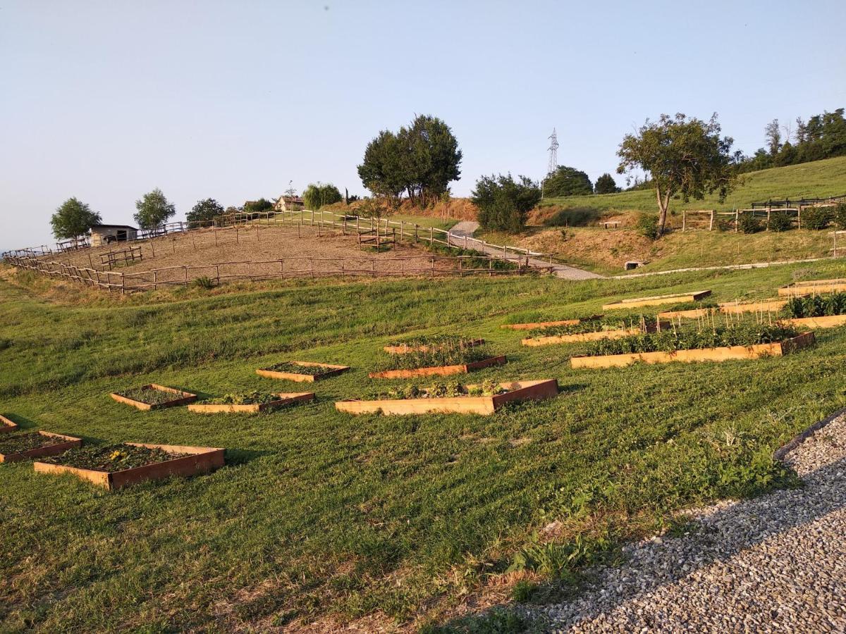 Tenuta I Musi Lunghi Lesignano de' Bagni ภายนอก รูปภาพ