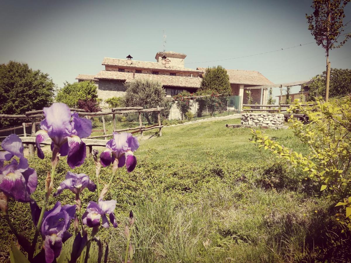 Tenuta I Musi Lunghi Lesignano de' Bagni ภายนอก รูปภาพ
